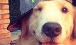 向死而生二狗最新爆料是哪一集,揭秘哪一集引发热议