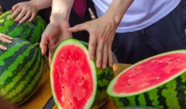 天津大学免费吃瓜,清凉一夏共享校园欢乐