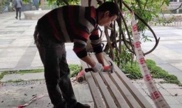 新瓜最新爆料长椅视频,长椅视频揭示惊人真相